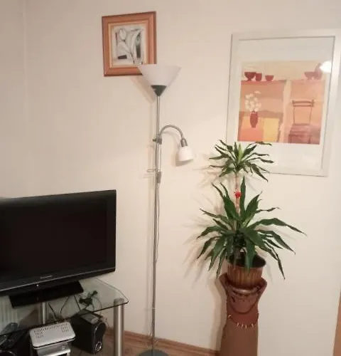 Stroma 4 자코파네