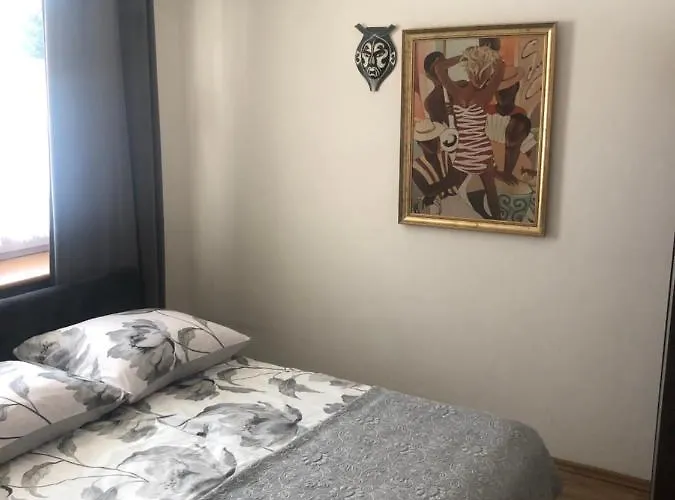 Stroma 4 자코파네