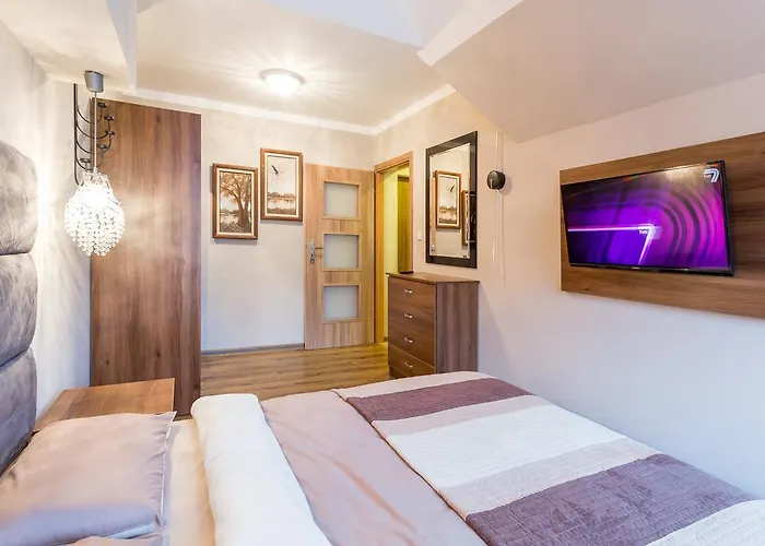 Stroma 4 자코파네