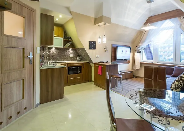 Stroma 4 자코파네